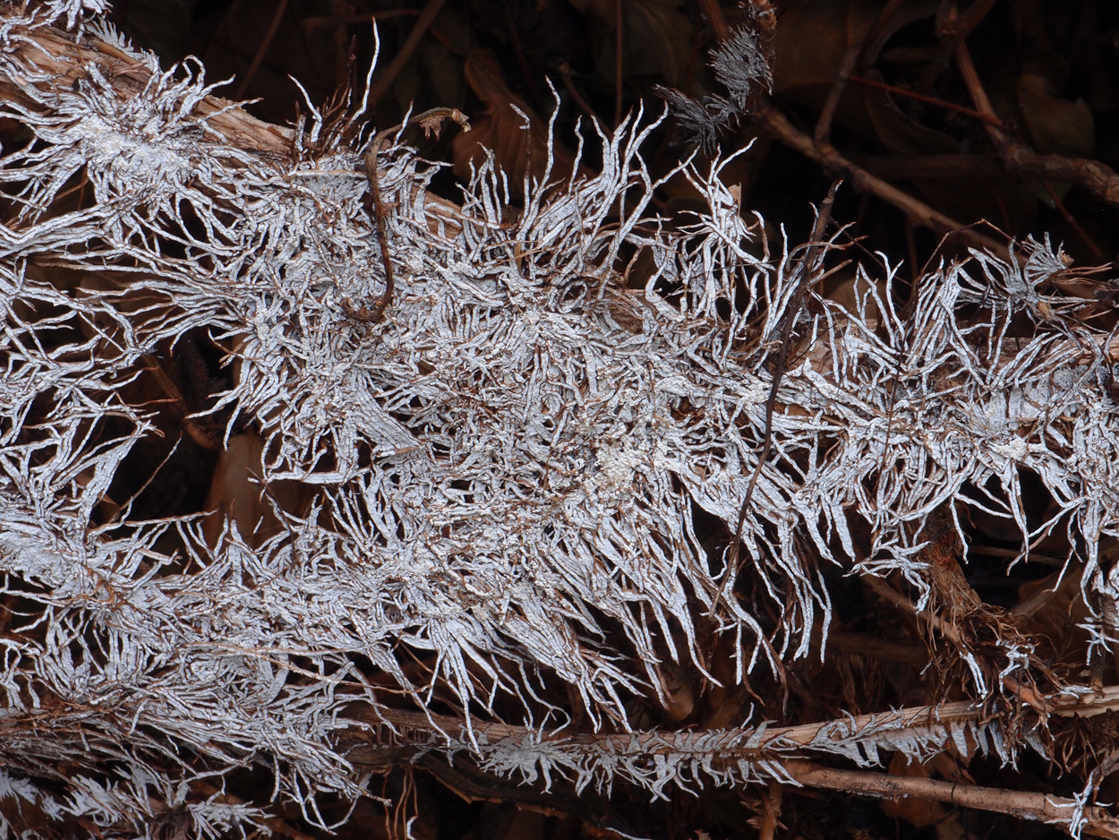 2019-07-21 foto-grafisches Statement I